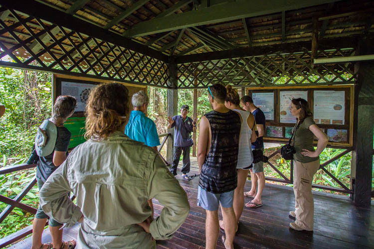 How Sukau Rainforest Lodge Practices Sustainability And Being Eco Friendly as An Eco Lodge