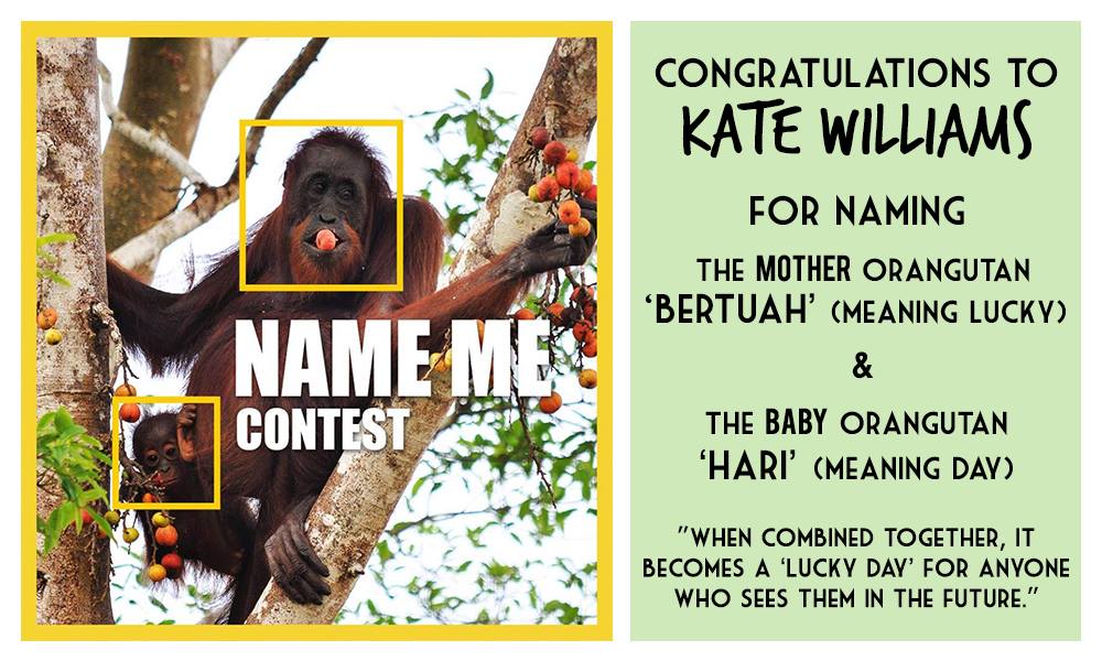 Sukau Rainforest Lodge “Name Me” Contest Winner
