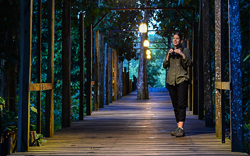 tourists walking along Attenborough Boardwalk of Sukau Rainforest Lodge