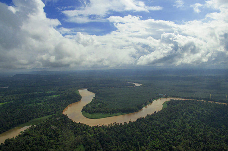 Aerial view of the Kinabatangan river