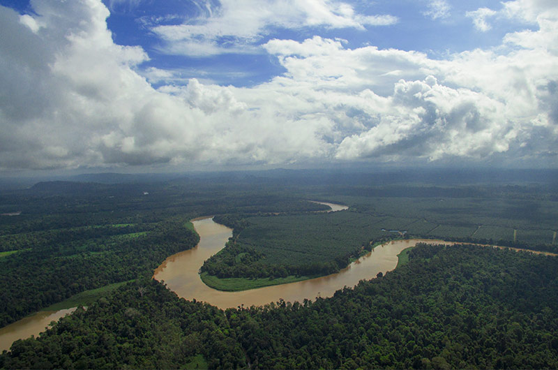Kinabatangan River