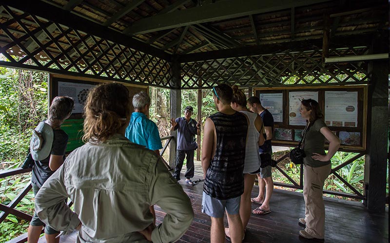 Tourists listening to an ape talk given by a guide at the Ape Gallery