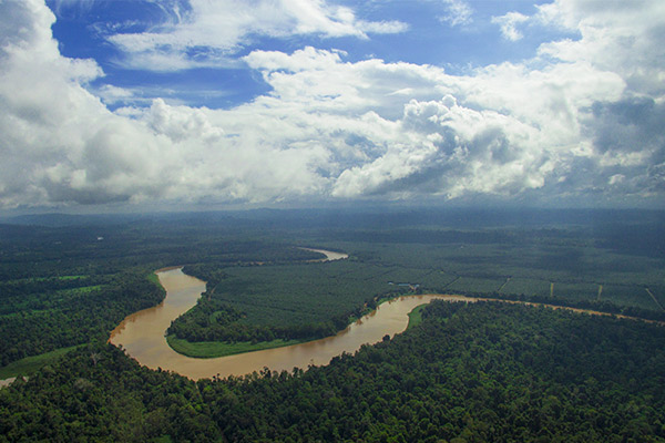 Sukau Rainforest Lodge’s River Clean Up Mission & World Rivers Day