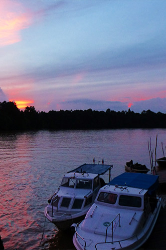 Sukau Rainforest Lodge's boat parked along the Kinabatangan river during sunset