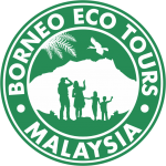 Borneo Eco Tours logo