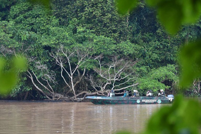Guests on a river cruise looking for wildlife along the shore of the Kinabatangan river