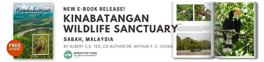 Kinabatangan wildlife sanctuary e-book banner for sliders
