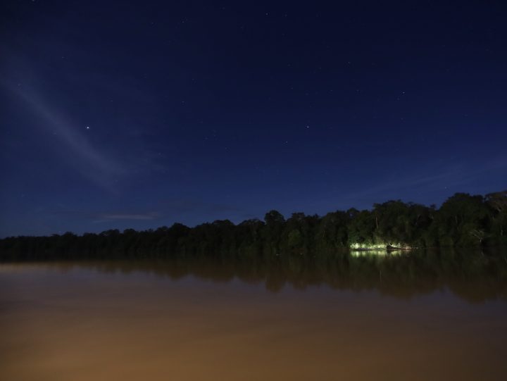 Bits Here and There on The Night Experience in Kinabatangan